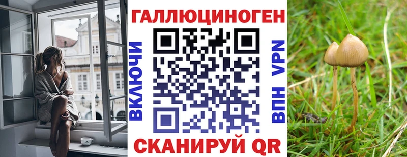 Псилоцибиновые грибы GOLDEN TEACHER где продают наркотики Красный Холм