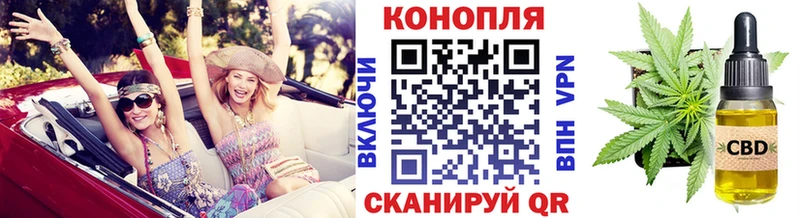 цена   Красный Холм  Каннабис планчик 